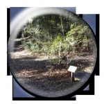D'Olive Nature Trail